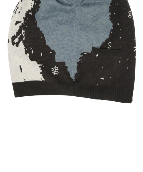 ゴースローキャラバン（GOSLOWCARAVAN）笑う柴犬 IMPACT ジャガード