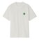 ザ・ノース・フェイス（THE NORTH FACE）ショートスリーブ ジオ スクエア ロゴTシャツ NT32633 WT