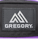 グレゴリー（GREGORY）ポーチ バッグ クイックポケット M 65459A769