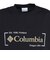 コロンビア（Columbia）半袖Tシャツ タイムトゥ トレイルトレイル ショートスリーブグラフィックTシャツ PG1816 010