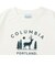コロンビア（Columbia）半袖 Tシャツ ウィメンズ チェンブリンコーブ ショートスリーブTシャツ PL6748 125