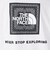 ザ・ノース・フェイス（THE NORTH FACE）半袖 バンダナスクエアロゴTシャツ NT32446 W2