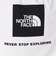 ザ・ノース・フェイス（THE NORTH FACE）半袖 バックスクエアロゴTシャツ NT32447 W2