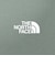 ザ・ノース・フェイス（THE NORTH FACE）半袖フラッシュドライ ピクセルプラント コットンTシャツ NT32549 DG 速乾