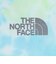 ザ・ノース・フェイス（THE NORTH FACE）ジュニア NV BIG RT 半袖Tシャツ NTT32579 B