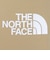 ザ・ノース・フェイス（THE NORTH FACE）ボトム アルパインライトパンツ NB32301 KT