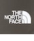 ザ・ノース・フェイス（THE NORTH FACE）パンツ ボトム アルパインライトパンツ NB32301 NT カーキ 春 ストレッチ ウエスト調節 リラッ…