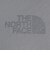 ザ・ノース・フェイス（THE NORTH FACE）長袖シャツ HIKERS NR12501 FG