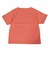 ヘリーハンセン（HELLY HANSEN）半袖Tシャツ マリンボーダー HH62511 GR