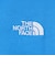 ザ・ノース・フェイス（THE NORTH FACE）ロングスリーブ フラッシュド ライヌプシ コットン Tシャツ NT32535 CB-V