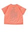 ザ・ノース・フェイス（THE NORTH FACE）ジュニア 半袖Tシャツ BIG ROOT NTT32578 FC