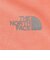 ザ・ノース・フェイス（THE NORTH FACE）ジュニア 半袖Tシャツ BIG ROOT NTT32578 FC