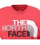 ザ・ノース・フェイス（THE NORTH FACE）フラッシュドライ カラフルロゴ コットン 半袖Tシャツ NTW32539 HI