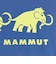 マムート（MAMMUT）半袖Tシャツ QD ロゴ プリントTシャツ 1017-02012-50667