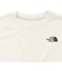 ザ・ノース・フェイス（THE NORTH FACE）ADVENTURE 半袖Tシャツ NTT32533 WD