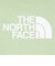 ザ・ノース・フェイス（THE NORTH FACE）MOBILITY クルーネック 半袖Tシャツ NPJ22472 MS