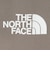 ザ・ノース・フェイス（THE NORTH FACE）MOBILITY クルーネック 半袖Tシャツ NPJ22472 CR