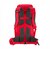 ミレー（Millet）バックパック リュック 登山 ハイキング プトレイ 35+10 MIS2427-N0335