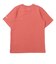 コロンビア（Columbia）バレークリークIIショートスリーブグラフィック 半袖Tシャツ AB5731 643