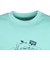 チャムス（CHUMS）コットンドライチャムスダイナソーTシャツ CH01-2757-M055