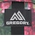 グレゴリー（GREGORY）ポーチ バッグ クイック パデッドケース M 135138A773