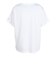 コロンビア（Columbia）半袖Tシャツ ローリングベンドグラフィック AL9409 112