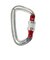 カラビナ 金具 ライトスクリュー 24K RTAMG12094N2 Red