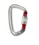 カラビナ 金具 ライトスクリュー 24K RTAMG12094N2 Red