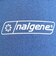 ナルゲン（nalgene）リバーシブルボトルケース 0.5L 61441WM ブルー/グレー