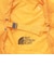 ザ・ノース・フェイス（THE NORTH FACE）スタンダードレインカバー 20L NM92358 SG