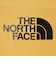 ザ・ノース・フェイス（THE NORTH FACE）スタンダードレインカバー 20L NM92358 SG
