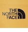 ザ・ノース・フェイス（THE NORTH FACE）スタンダードレインカバー 30L NM92357 SG