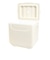 ホールアース（Whole Earth）クーラーボックス COOLPOINT 10 WE2TDI36 IVR
