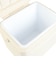 ホールアース（Whole Earth）クーラーボックス COOLPOINT 10 WE2TDI36 IVR