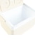 ホールアース（Whole Earth）クーラーボックス COOLPOINT 6 WE2TDI35 IVR