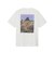 ザ・ノース・フェイス（THE NORTH FACE）半袖 マウンテンフラワーTシャツ NT32650 W