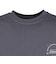 コールマン（Coleman）レタリングラッシュ半袖Tシャツ X563AA CHL