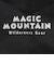 マジックマウンテン（MAGICMOUNTAIN）トレイルチェアー MC100.