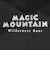 マジックマウンテン（MAGICMOUNTAIN）トレイルチェアー MC100 Sil