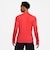 ナイキ（NIKE）ロンT ACG ドライフィット WILDSEE 1/4ジップ 長袖Tシャツ IM4224-696
