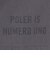 ポーラー（POLER）RIP BAGGY 半袖Tシャツ 261MCV0031-CHA