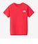 ザ・ノース・フェイス（THE NORTH FACE）ショートスリーブ バンダナ スクェアロゴ半袖Tシャツ NTJ32546 HI