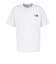 ザ・ノース・フェイス（THE NORTH FACE）ショートスリーブ ウォッシュドヒストリカル ロゴTシャツ NT82642 WX