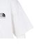 ザ・ノース・フェイス（THE NORTH FACE）ショートスリーブ ウォッシュドヒストリカル ロゴTシャツ NT82642 WX