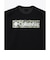 コロンビア（Columbia）半袖Tシャツ エルデンパスグラフィックショートスリーブTシャツ PG2114 010