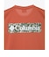 コロンビア（Columbia）半袖Tシャツ エルデンパスグラフィックショートスリーブTシャツ PG2114 235