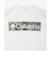コロンビア（Columbia）半袖Tシャツ エルデンパスグラフィックショートスリーブTシャツ PG2114 125