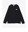 コロンビア（Columbia）長袖Tシャツ ロンT ロストブルックロングスリーブTシャツ PG2062 010