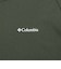 コロンビア（Columbia）ハーバートゥーバレーバックグラフィックロングスリーブTシャツ PG2123 369