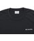 コロンビア（Columbia）ハーバートゥーバレーバックグラフィックロングスリーブTシャツ PG2123 010